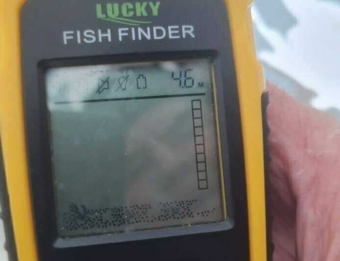 Раз плотвичка, два плотвичка: калининградские рыбаки рассказали, кто клюёт подо льдом (фото) - Новости Калининграда | Фото: Николай Смирнов