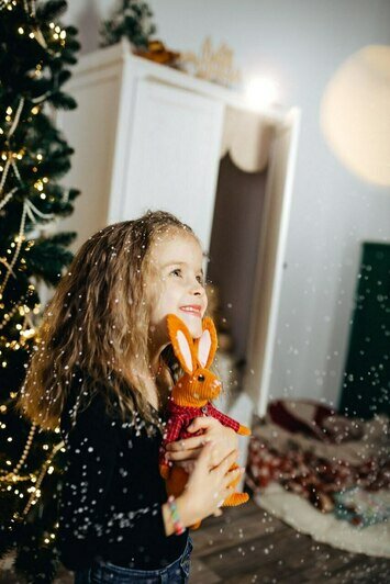 С игрушками Анны можно устроить домашнее представление. | Фото: архив героя публикации
