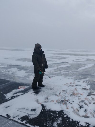 Раз плотвичка, два плотвичка: калининградские рыбаки рассказали, кто клюёт подо льдом (фото) - Новости Калининграда | Фото предоставили в сообществе Рыбалка в Калининграде - KONIGFISHING