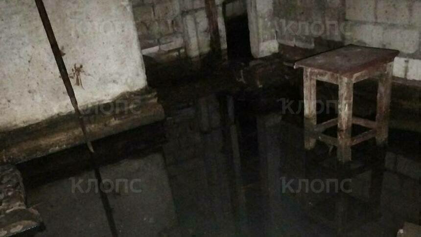 После публикации «Клопс» в подвале калининградской пятиэтажки ликвидировали зловонный потоп    - Новости Калининграда | Фото: очевидцы