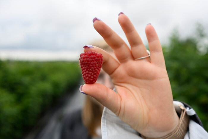 Когда сеять и сажать в Калининграде: лунный календарь и полезные контакты  | Фото: архив «СК»