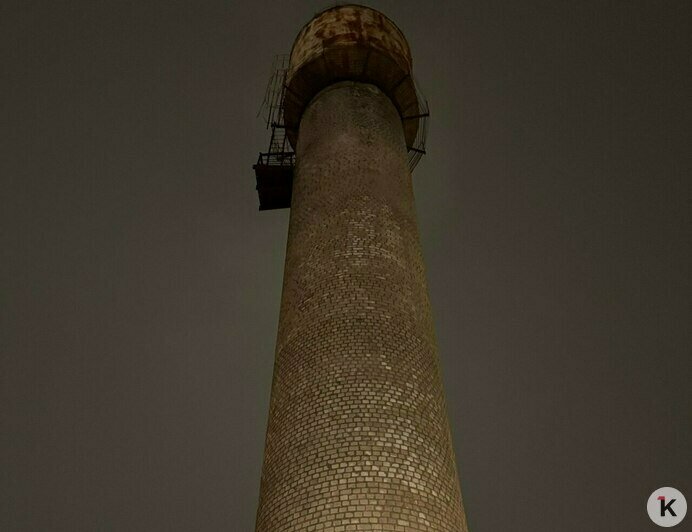 В Гурьевском округе альпинист спас кошку, застрявшую на старой водонапорной башне (фото, видео)   - Новости Калининграда | Фото: Эвелина