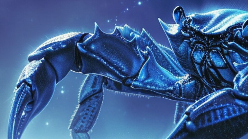 Близнецы отправятся за новыми впечатлениями, а Раки ощутят тоску по близким: гороскоп на выходные - Новости Калининграда