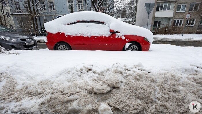 Деньги для всех детей, путешествие в мороз и претензия за брак: cобытия недели, которые обсуждали в Калининграде   - Новости Калининграда | Фото: Александр Подгорчук / Архив «Клопс»