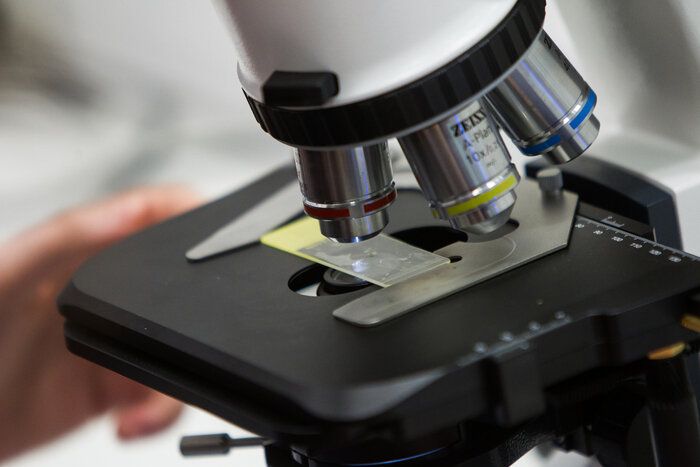 Как жить дольше и не терять голову: 6 направлений, которые сегодня изучают калининградские учёные - Новости Калининграда | Фото: архив «Клопс»