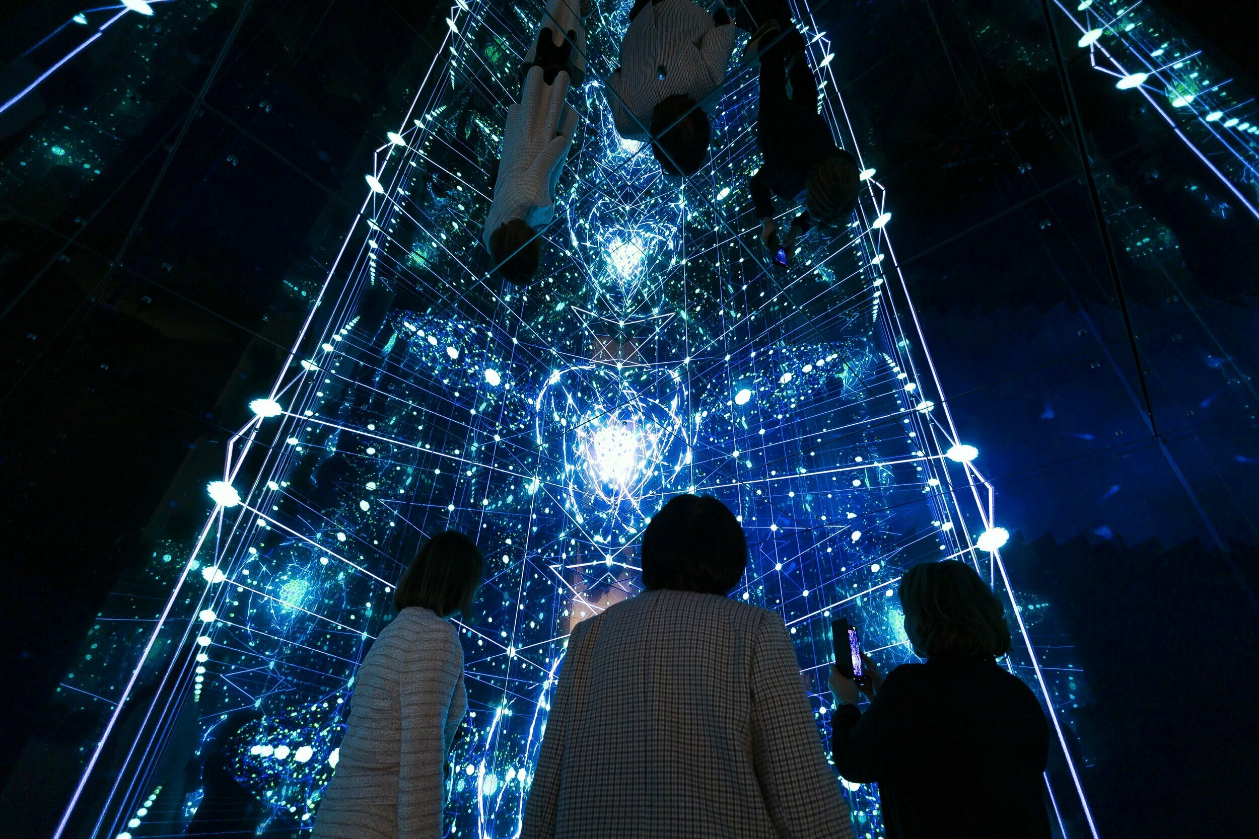 В «Планете Океан» презентовали новое пространство с впечатляющими экспонатами (фоторепортаж)  - Новости Калининграда | Фото: Александр Подгорчук / «Клопс»