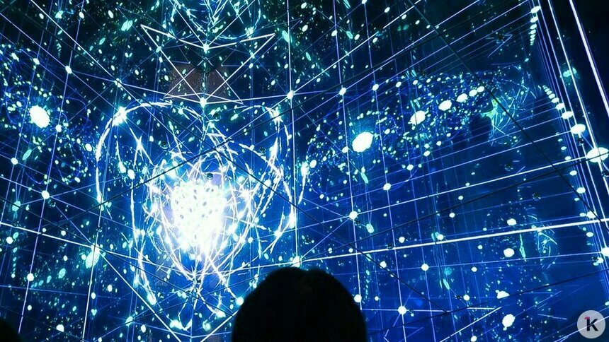 В «Планете Океан» презентовали новое пространство с впечатляющими экспонатами (фоторепортаж)  - Новости Калининграда | Фото: Александр Подгорчук / «Клопс»