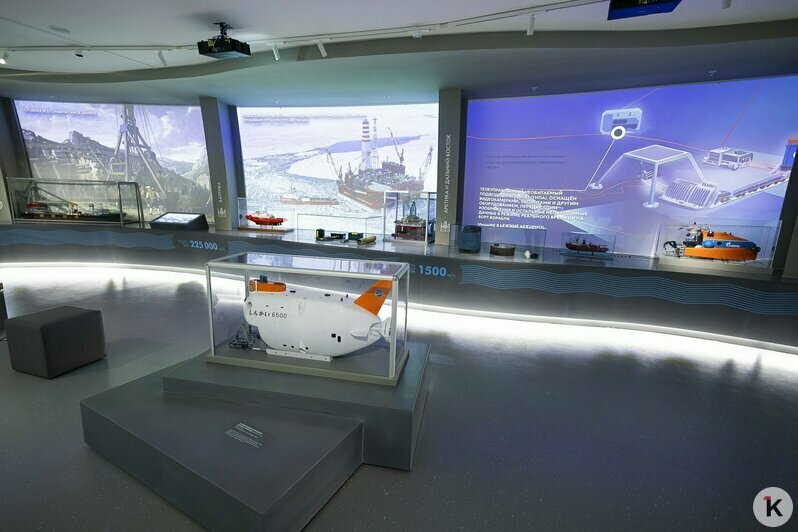 В «Планете Океан» презентовали новое пространство с впечатляющими экспонатами (фоторепортаж)  - Новости Калининграда | Фото: Александр Подгорчук / «Клопс»