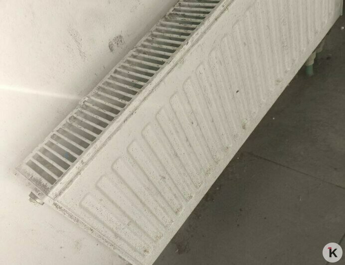 «В посудомойке протухли тарелки, собаки гадили на пол»: арендаторы довели квартиру калининградки до ужасного состояния (фото, видео) - Новости Калининграда