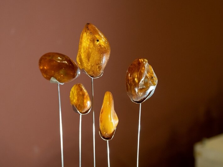 Бумажные украшения и эксперименты с формой: в Музее янтаря открылась выставка «Внимание! Работает авангард» - Новости Калининграда | Фото: Музей янтаря