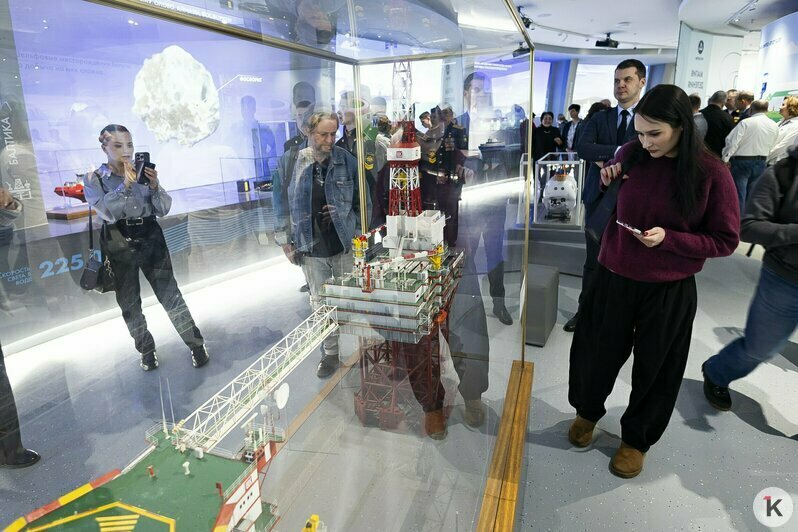 В «Планете Океан» презентовали новое пространство с впечатляющими экспонатами (фоторепортаж)  - Новости Калининграда | Фото: Александр Подгорчук / «Клопс»