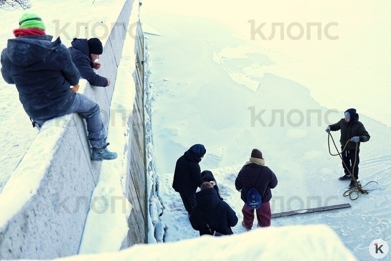 В спасении собаки участвовали несколько девушек и мужчин  | Фото: Александр Подгорчук / «Клопс»