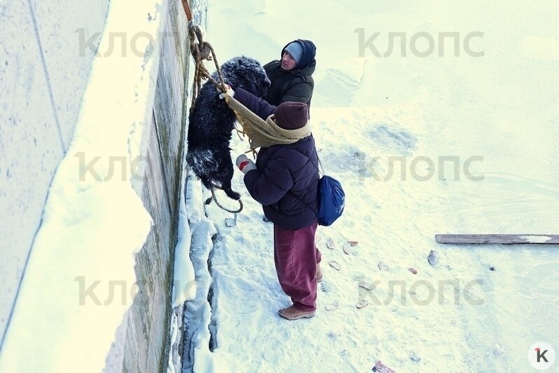 В спасении собаки участвовали несколько девушек и мужчин  | Фото: Александр Подгорчук / «Клопс»