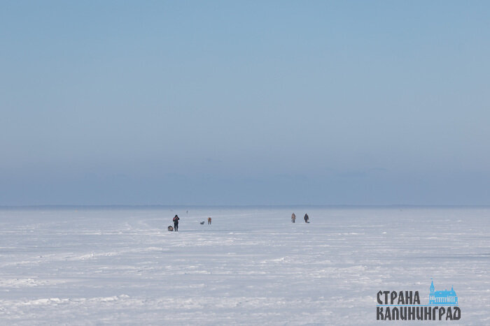 Когда клюёт даже зимой: удача на льду (фото) | Фото: Александр Мелехов