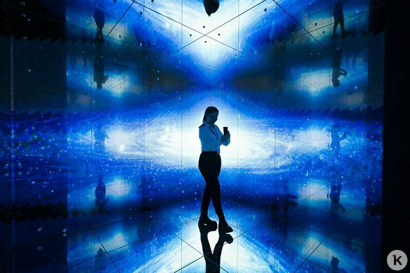 В «Планете Океан» презентовали новое пространство с впечатляющими экспонатами (фоторепортаж)  - Новости Калининграда | Фото: Александр Подгорчук / «Клопс»