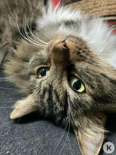 Екатерина с Лолой | Фото: Екатерина Лебедева