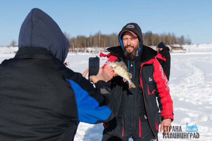 Когда клюёт даже зимой: удача на льду (фото)