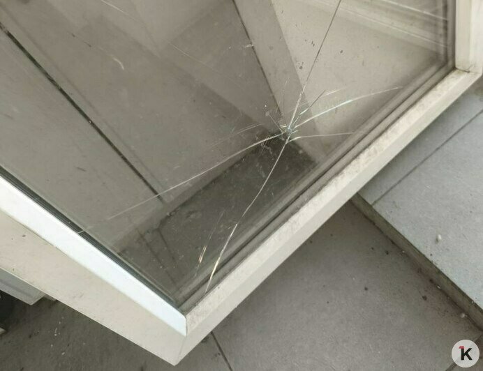 «В посудомойке протухли тарелки, собаки гадили на пол»: арендаторы довели квартиру калининградки до ужасного состояния (фото, видео) - Новости Калининграда