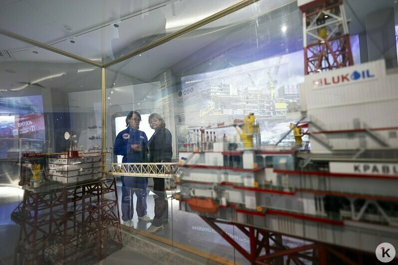 В «Планете Океан» презентовали новое пространство с впечатляющими экспонатами (фоторепортаж)  - Новости Калининграда | Фото: Александр Подгорчук / «Клопс»