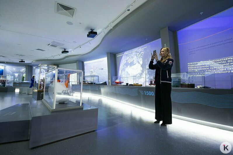В «Планете Океан» презентовали новое пространство с впечатляющими экспонатами (фоторепортаж)  - Новости Калининграда | Фото: Александр Подгорчук / «Клопс»