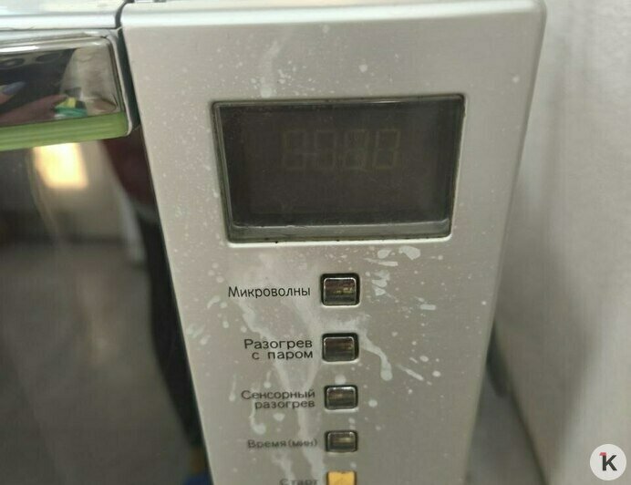 «В посудомойке протухли тарелки, собаки гадили на пол»: арендаторы довели квартиру калининградки до ужасного состояния (фото, видео) - Новости Калининграда