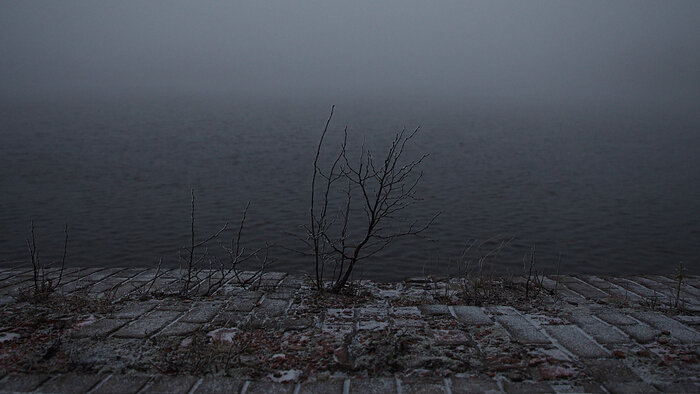 Общество усталости: что больше всего утомило калининградцев за зиму - Новости Калининграда | Фото: архив «Клопс»
