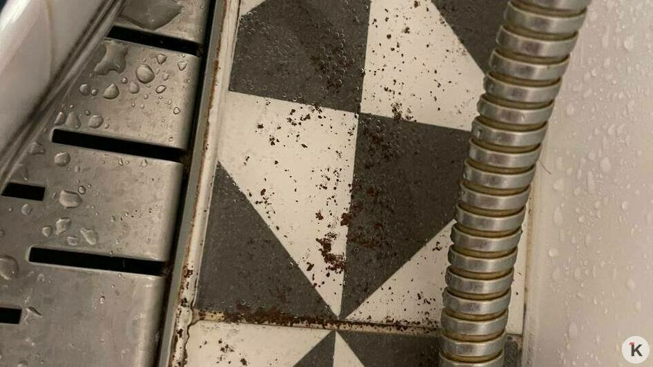 Из лейки душа сыплется ржавый песок | Фото: читатель 