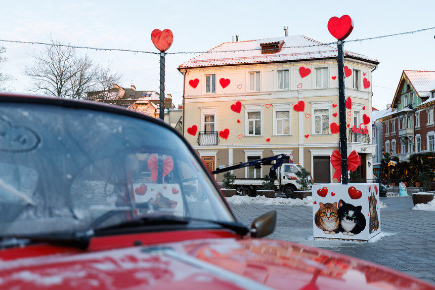 Зеленоградск - любовь и котики | Фото: Александр Мелехов
