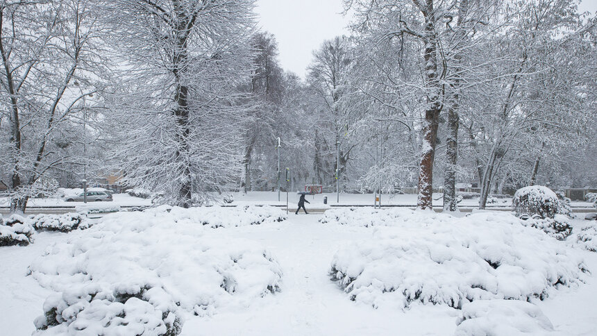 Калининградское свинцовое небо к вечеру выдавит из себя немного снега: прогноз погоды на 10 февраля - Новости Калининграда | Фото: Александр Подгорчук / Архив «Клопс»