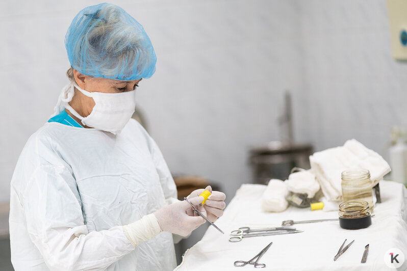 Полвека на шаг от хирурга: истории калининградских операционных сестёр (фото)   - Новости Калининграда | Фото: Александр Подгорчук / «Клопс»