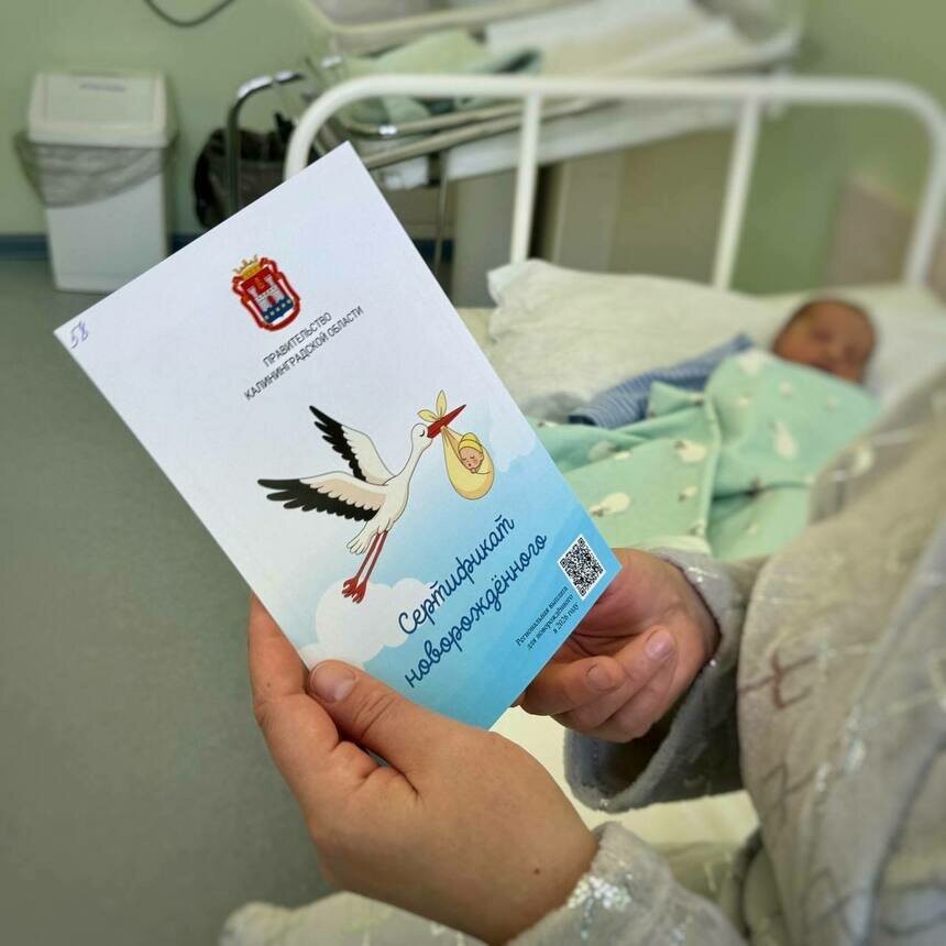 Сертификат мамам выдают прямо в роддоме | Фото: тг-канал Алексея Беспрозванных