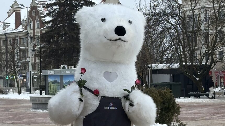 Найдёшь мишку — заберёшь букет: как получить цветы от пушистого зверя в Калининграде  - Новости Калининграда