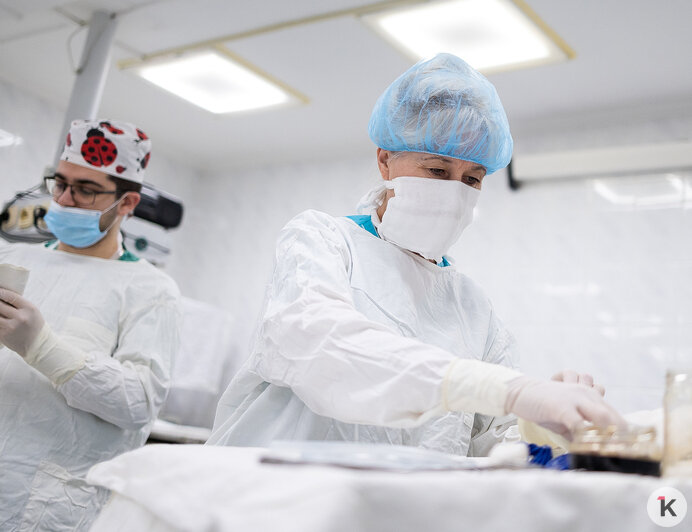 Полвека на шаг от хирурга: истории калининградских операционных сестёр (фото)   - Новости Калининграда | Фото: Александр Подгорчук / «Клопс»