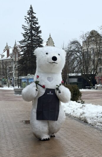 Найдёшь мишку — заберёшь букет: как получить цветы от пушистого зверя в Калининграде  - Новости Калининграда