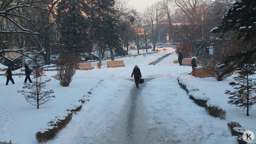 Власти Калининграда хотят поставить памятник первым переселенцам в сквере на Житомирской   - Новости Калининграда | Фото: Алёна Михайлова