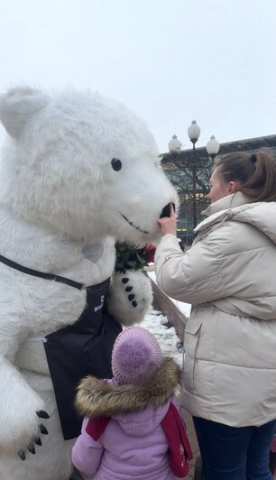 Найдёшь мишку — заберёшь букет: как получить цветы от пушистого зверя в Калининграде  - Новости Калининграда
