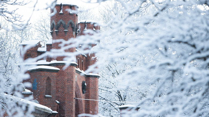 Три концерта и экофестиваль: где бесплатно отдохнуть в Калининградской области в субботу и воскресенье - Новости Калининграда | Фото: архив «Клопс»