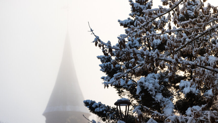 Три концерта и экофестиваль: где бесплатно отдохнуть в Калининградской области в субботу и воскресенье - Новости Калининграда | Фото: архив «Клопс»