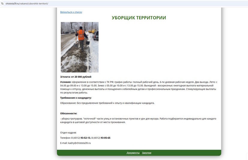 «Я бы с лопатой жил»: Федосеев заявил, что студентов не удалось привлечь к уборке снега в Калининграде даже за 4 тысячи в день - Новости Калининграда | Скриншоты сайтов