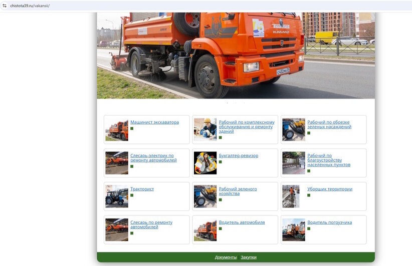 «Я бы с лопатой жил»: Федосеев заявил, что студентов не удалось привлечь к уборке снега в Калининграде даже за 4 тысячи в день - Новости Калининграда | Скриншоты сайтов