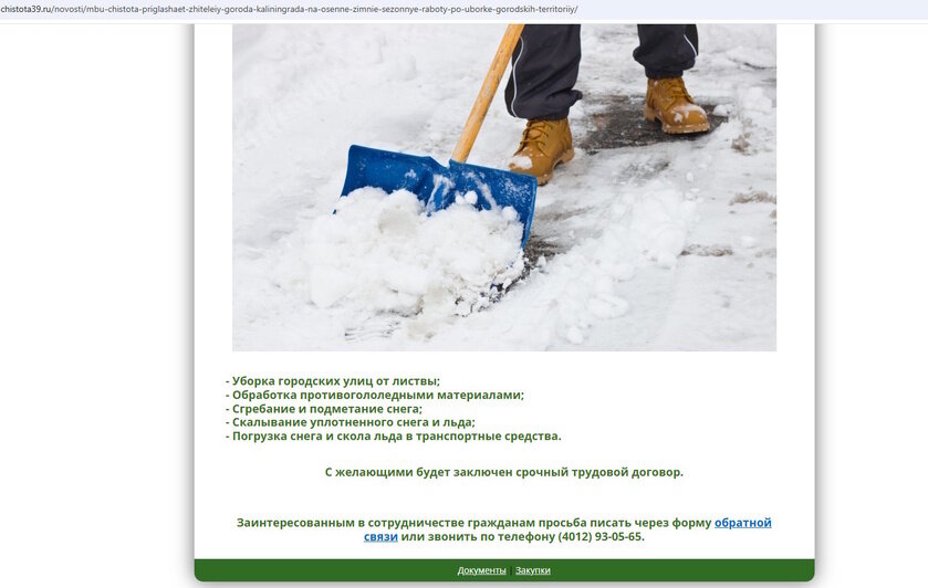 «Я бы с лопатой жил»: Федосеев заявил, что студентов не удалось привлечь к уборке снега в Калининграде даже за 4 тысячи в день - Новости Калининграда | Скриншоты сайтов