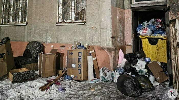 Кеска-Аладдин и прятки среди хлама: 6 мест в Калининграде, которым срочно требуется уборка (фото, видео)  - Новости Калининграда | Фото: Екатерина 