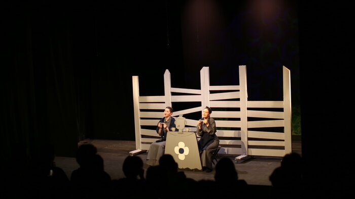 «Вы волнуете меня вот уже четыре дня»: чем удивил мюзикл по Островскому, на который невозможно было достать билеты - Новости Калининграда | Фото: Нина Румянцева