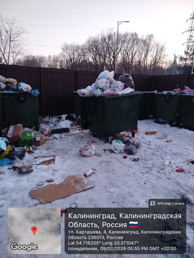 Кеска-Аладдин и прятки среди хлама: 6 мест в Калининграде, которым срочно требуется уборка (фото, видео)  - Новости Калининграда | Фото: Марина Миркина