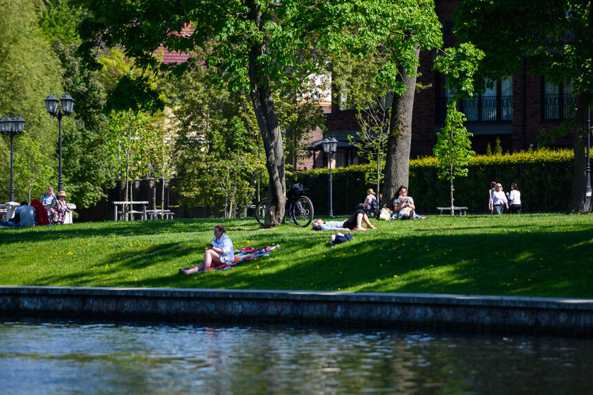 Снежная зима дает насекомым потенциал, отправную точку с высокой стартовой численностью. | Фото: архив «СК»