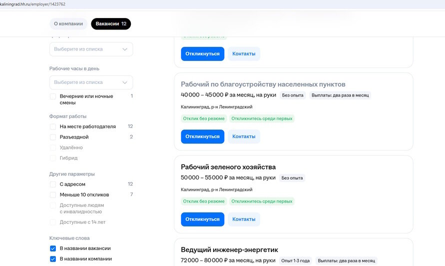 «Я бы с лопатой жил»: Федосеев заявил, что студентов не удалось привлечь к уборке снега в Калининграде даже за 4 тысячи в день - Новости Калининграда | Скриншоты сайтов