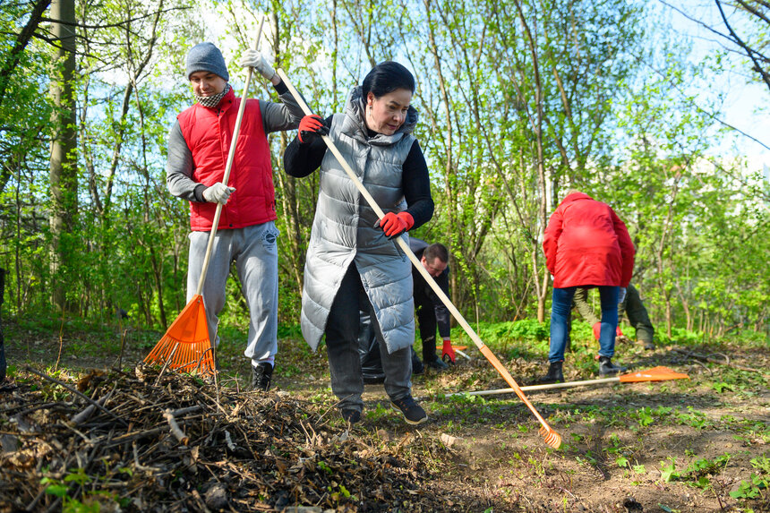 Глава администрации Елена Дятлова тоже выйдет на субботник | Фото: Александр Мелехов