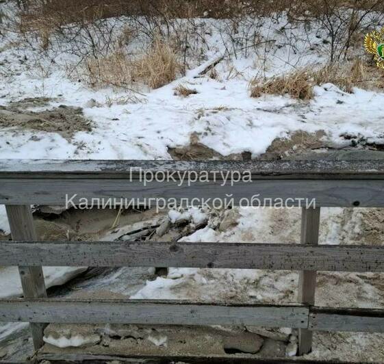 Природоохранная прокуратура проверяет информацию о сливе стоков на пляж в Янтарном - Новости Калининграда | Фото: прокуратура Калининградской области