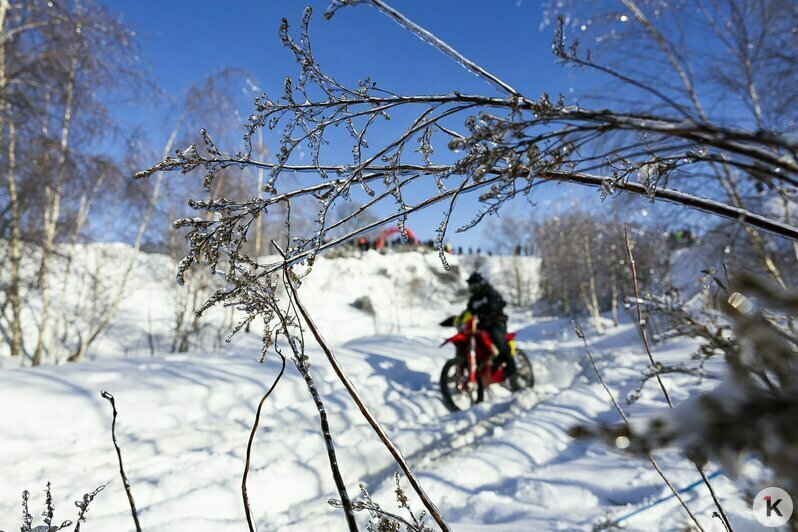 Солнце, дым и рёв моторов: калининградские экстремалы устроили заезд по заснеженному бездорожью (фоторепортаж) - Новости Калининграда | Фото: Александр Подгорчук / «Клопс»