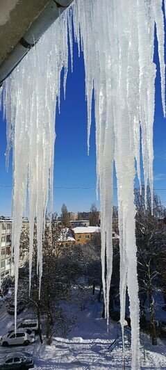 Ледяной оскал: на карнизах калининградских домов выросли метровые сосульки (фото) - Новости Калининграда | Фото: Оксана